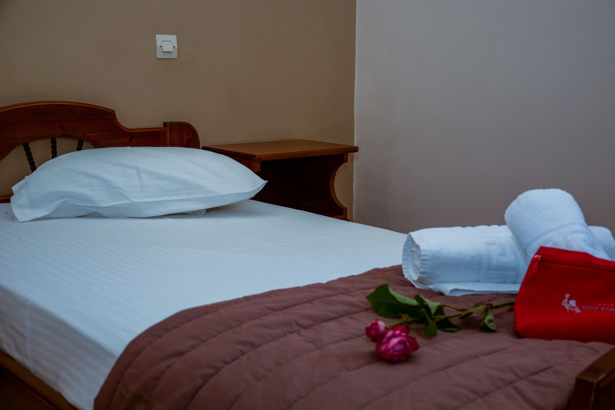 Poseidonio Hotel Тинос Экстерьер фото